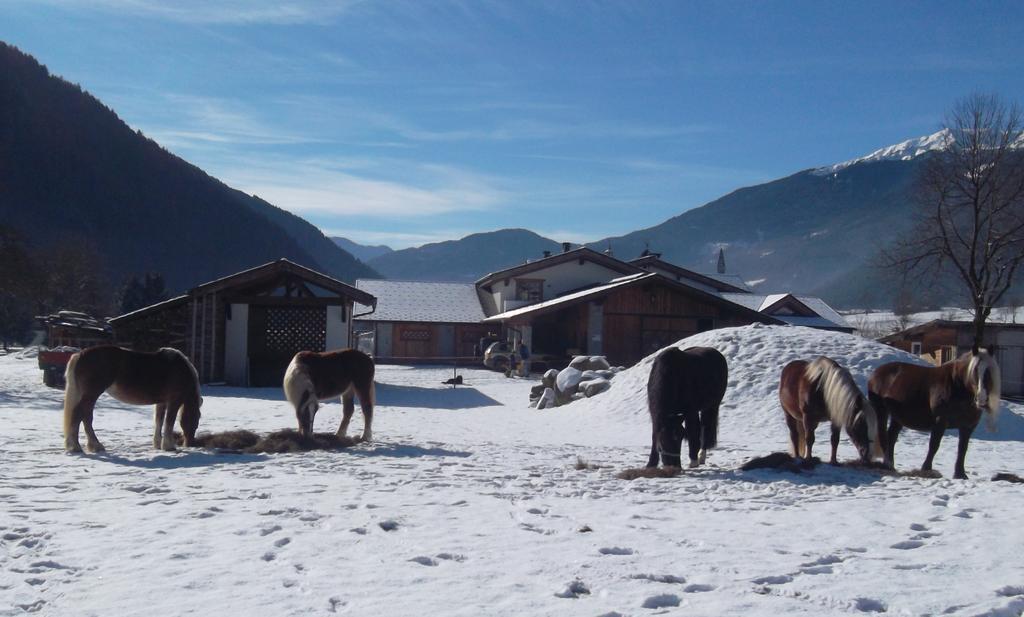 Agriturismo Maso Grisun Borzago Ngoại thất bức ảnh