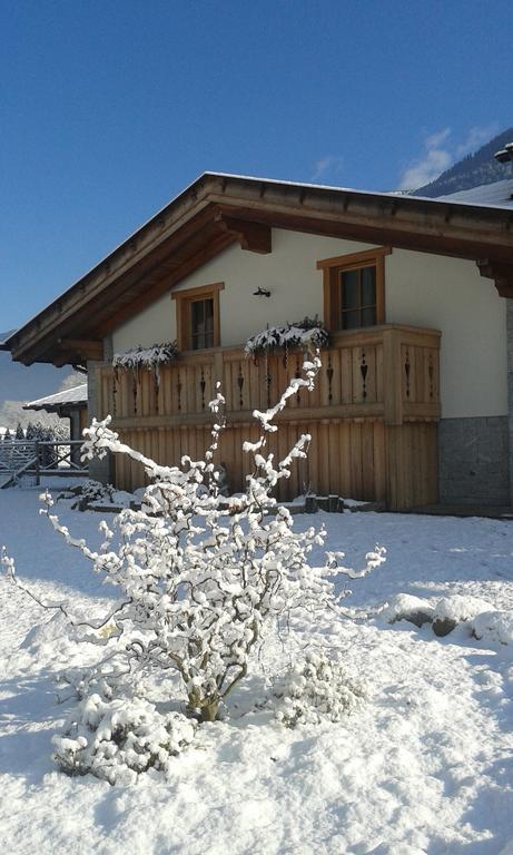 Agriturismo Maso Grisun Borzago Ngoại thất bức ảnh