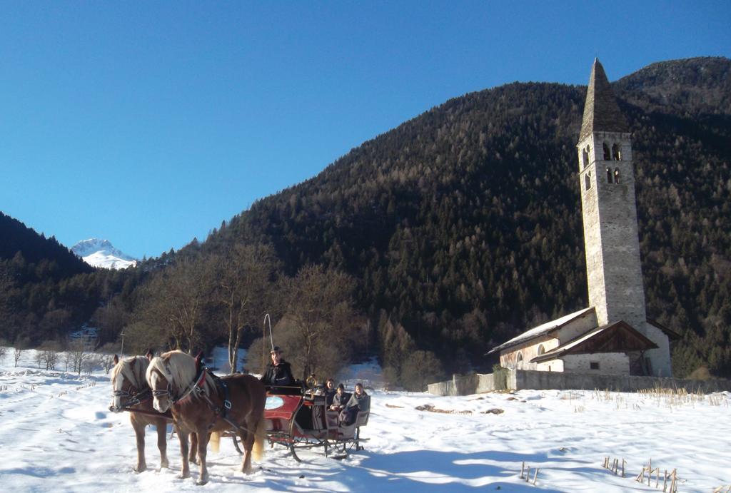 Agriturismo Maso Grisun Borzago Ngoại thất bức ảnh
