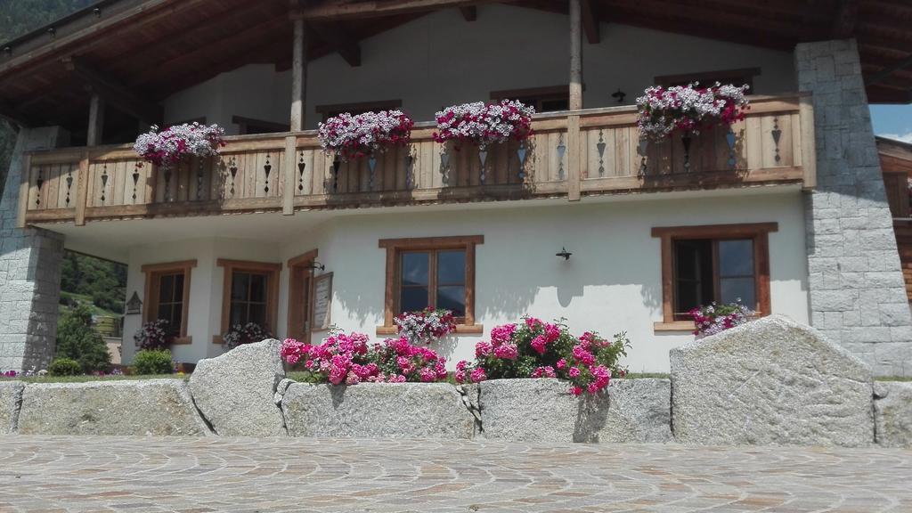Agriturismo Maso Grisun Borzago Ngoại thất bức ảnh