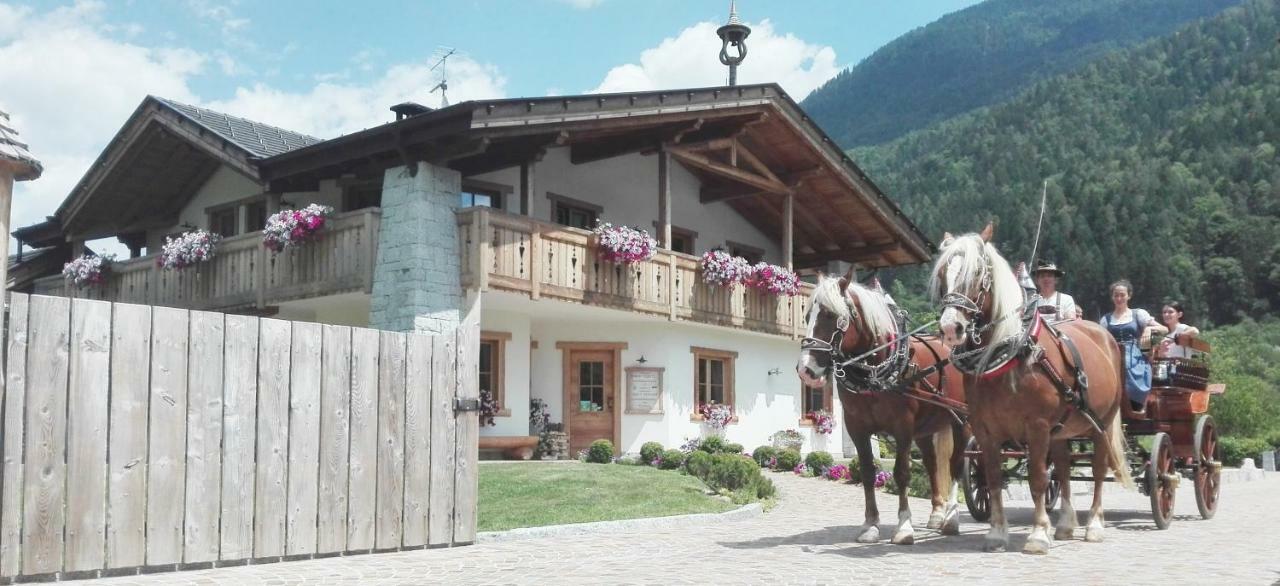 Agriturismo Maso Grisun Borzago Ngoại thất bức ảnh
